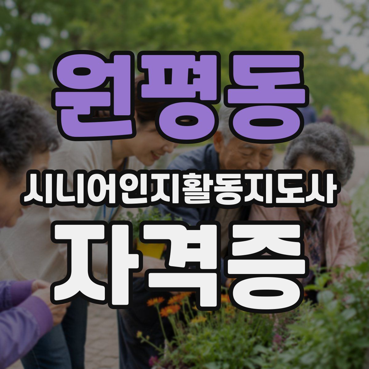 원평동 시니어인지활동지도사 자격증