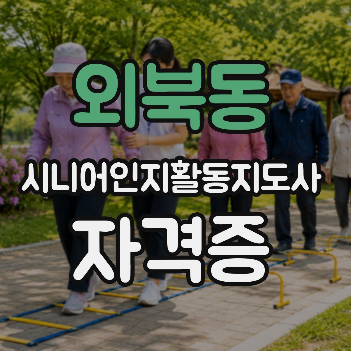 외북동 시니어인지활동지도사 자격증