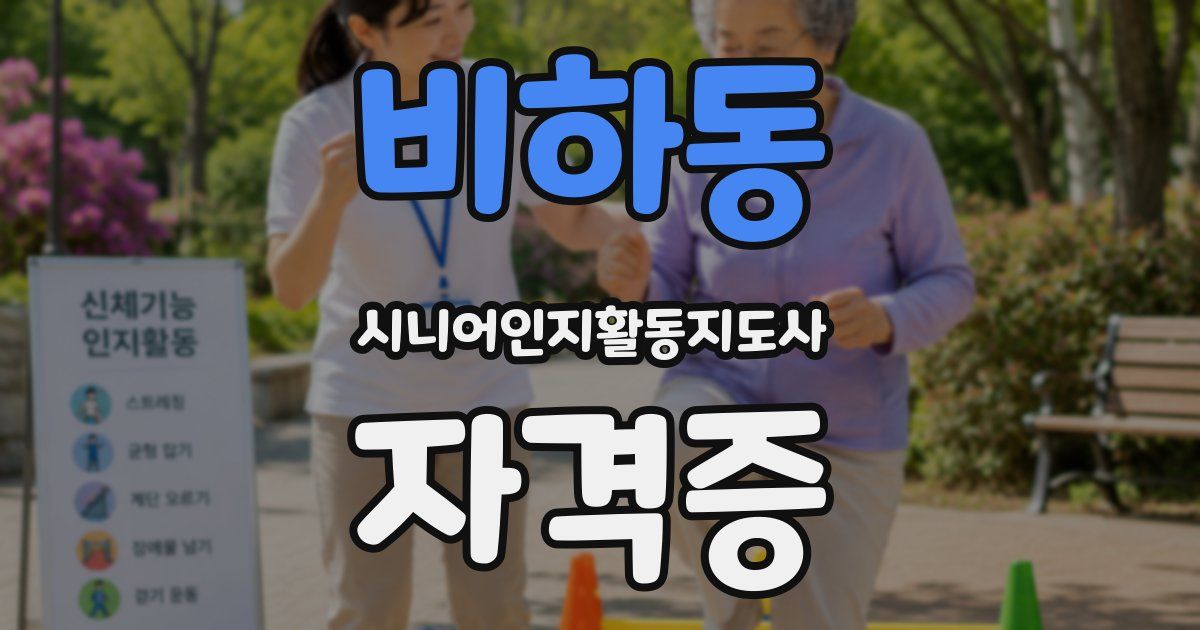 비하동 시니어인지활동지도사 자격증
