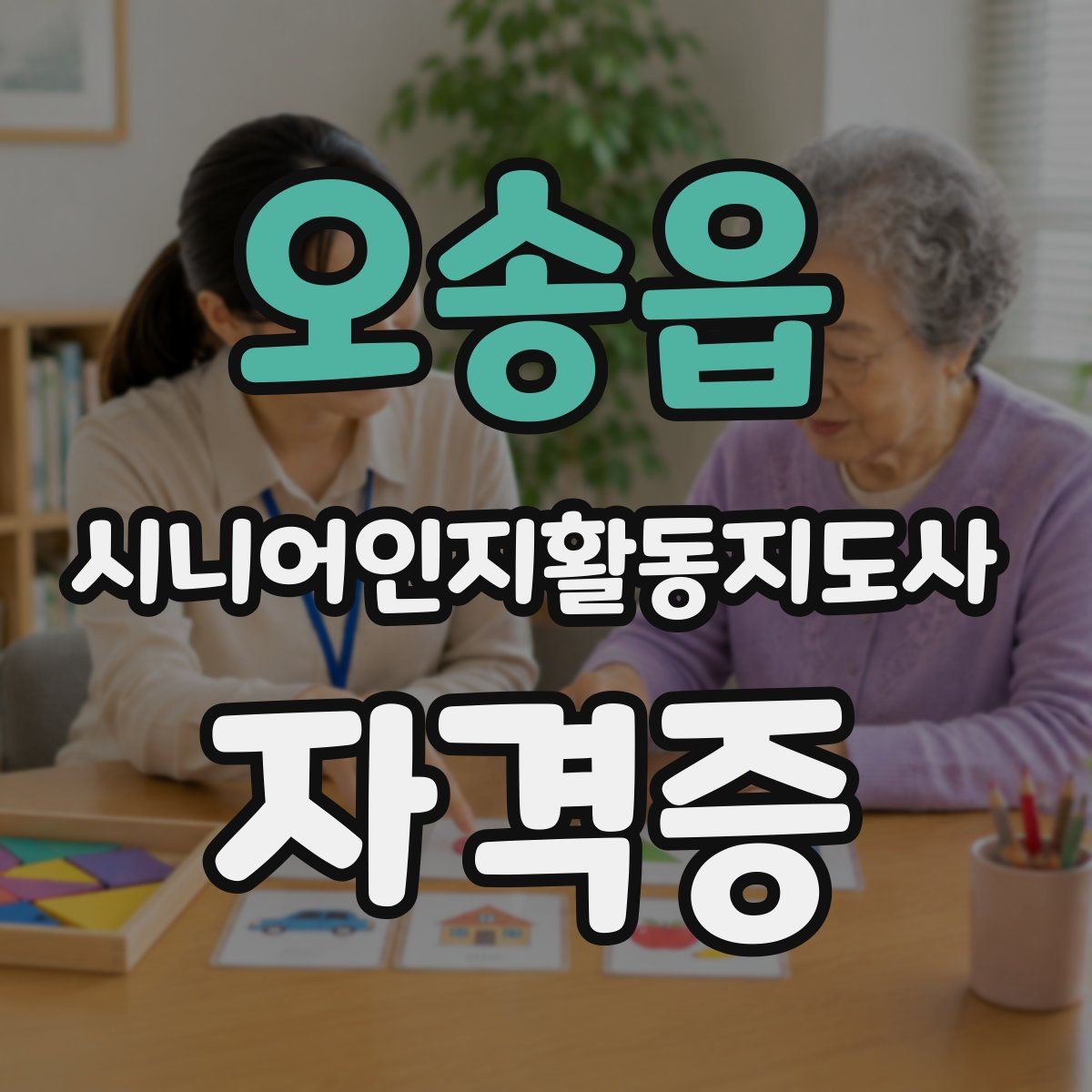 오송읍 시니어인지활동지도사 자격증