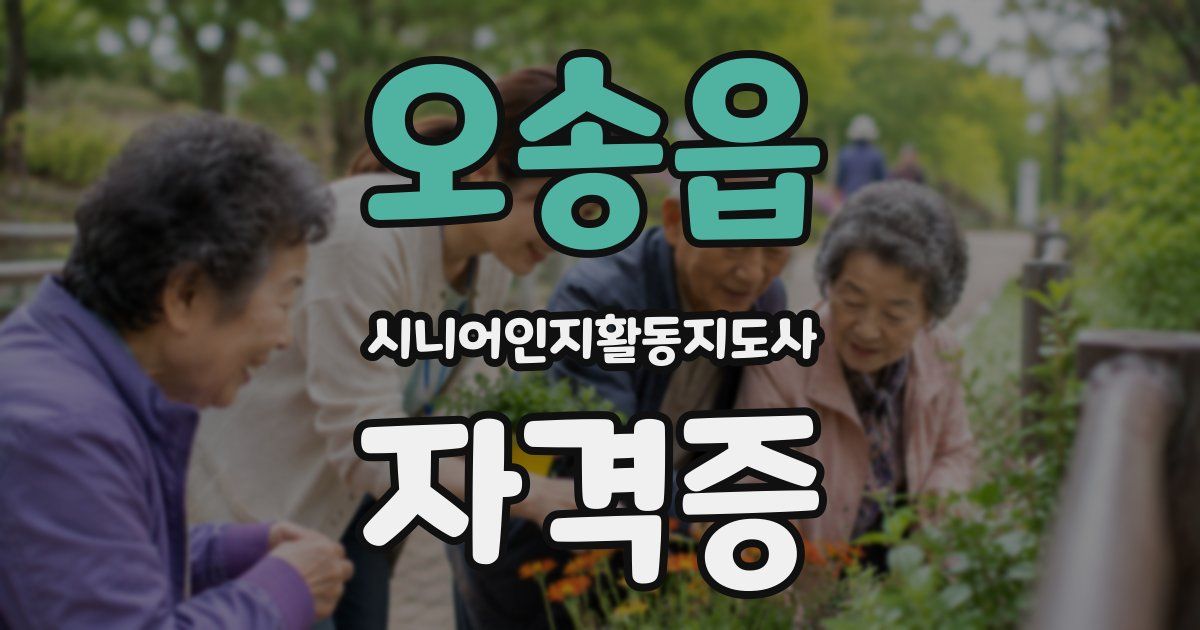 오송읍 시니어인지활동지도사 자격증