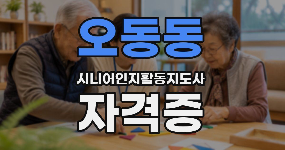 오동동 시니어인지활동지도사 자격증