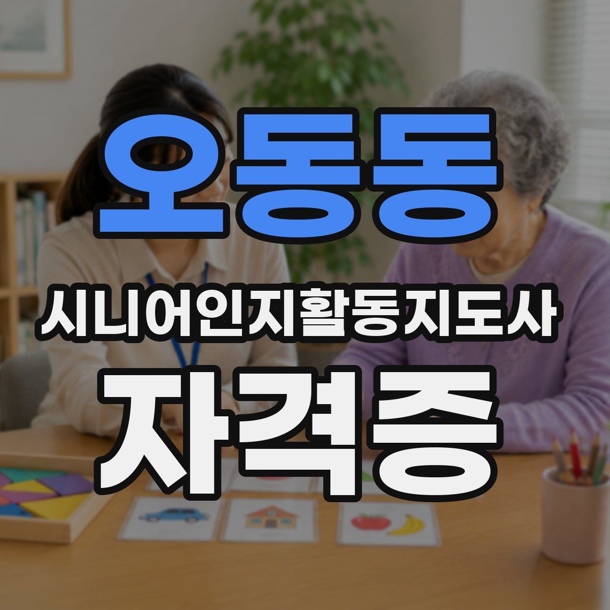 오동동 시니어인지활동지도사 자격증