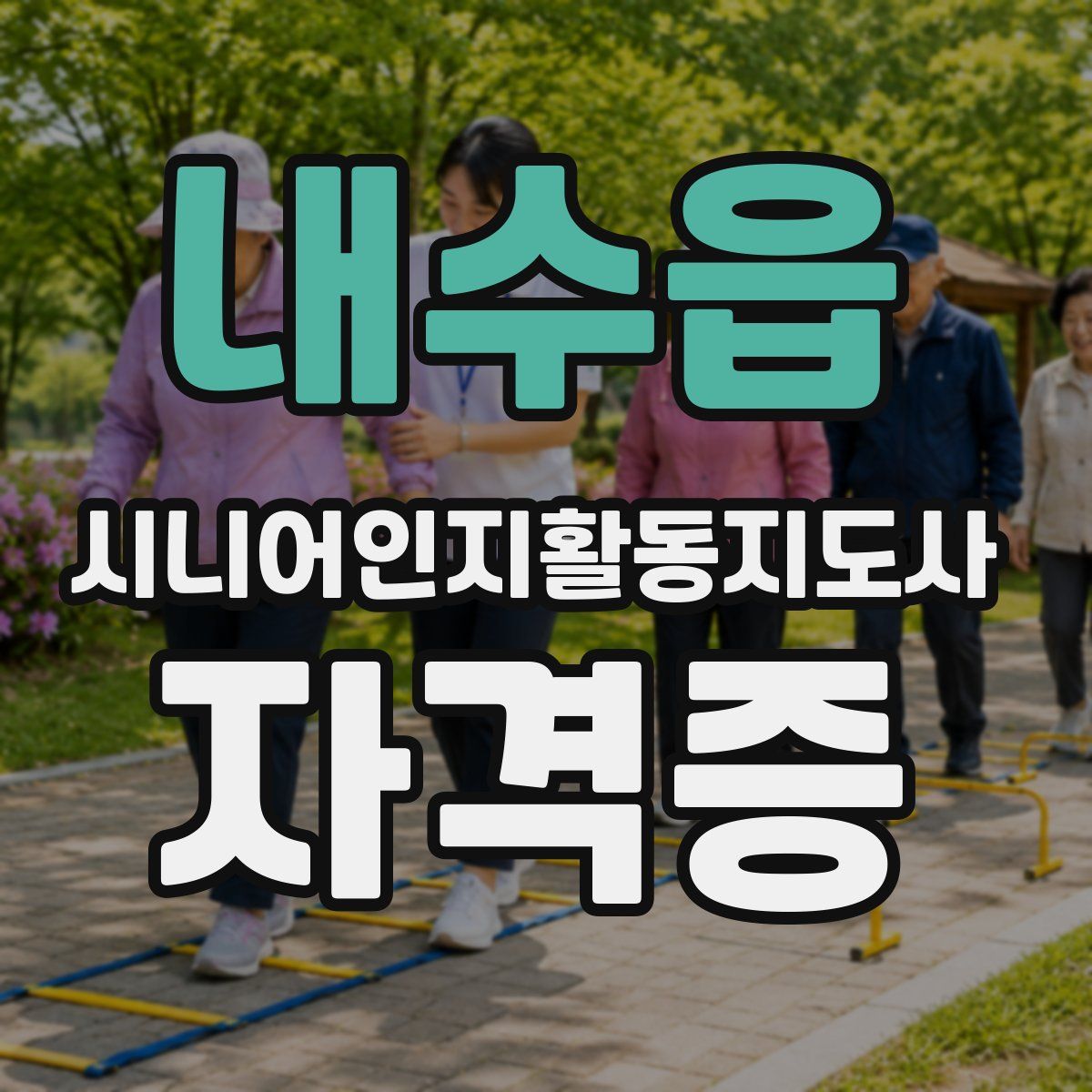 내수읍 시니어인지활동지도사 자격증