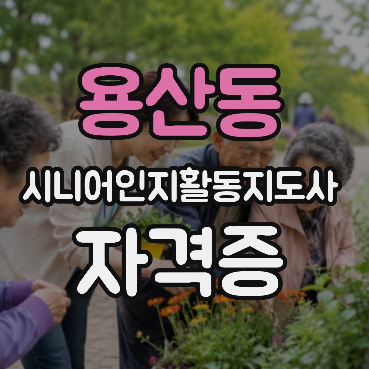용산동 시니어인지활동지도사 자격증