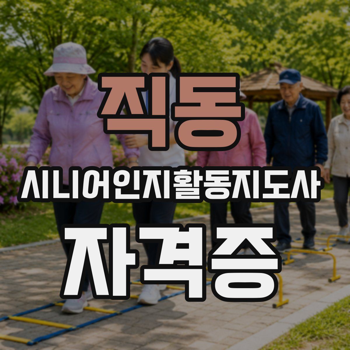 직동 시니어인지활동지도사 자격증