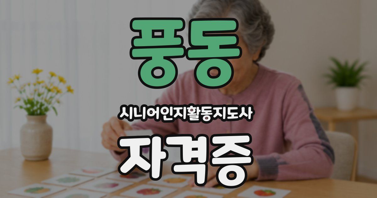 풍동 시니어인지활동지도사 자격증