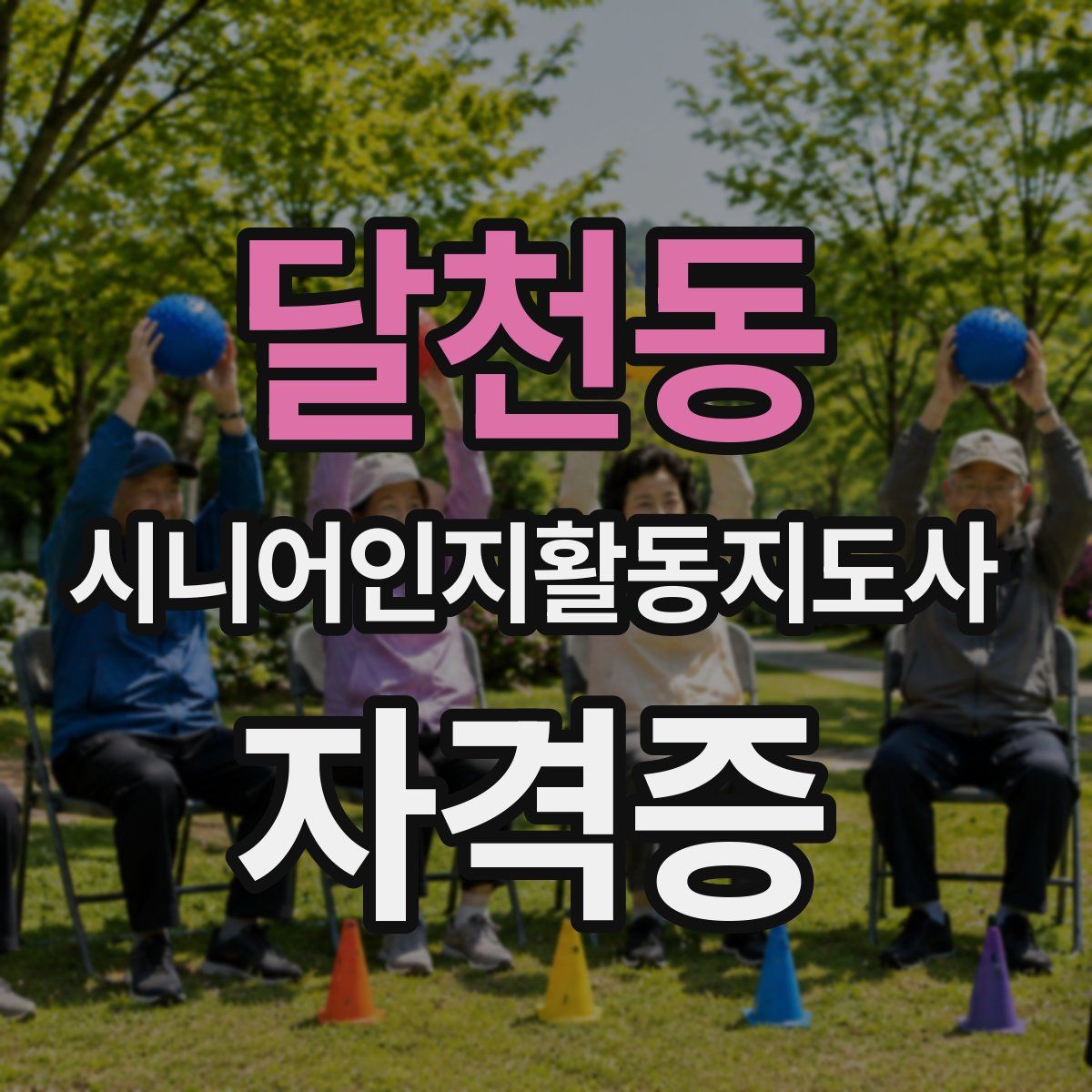 달천동 시니어인지활동지도사 자격증