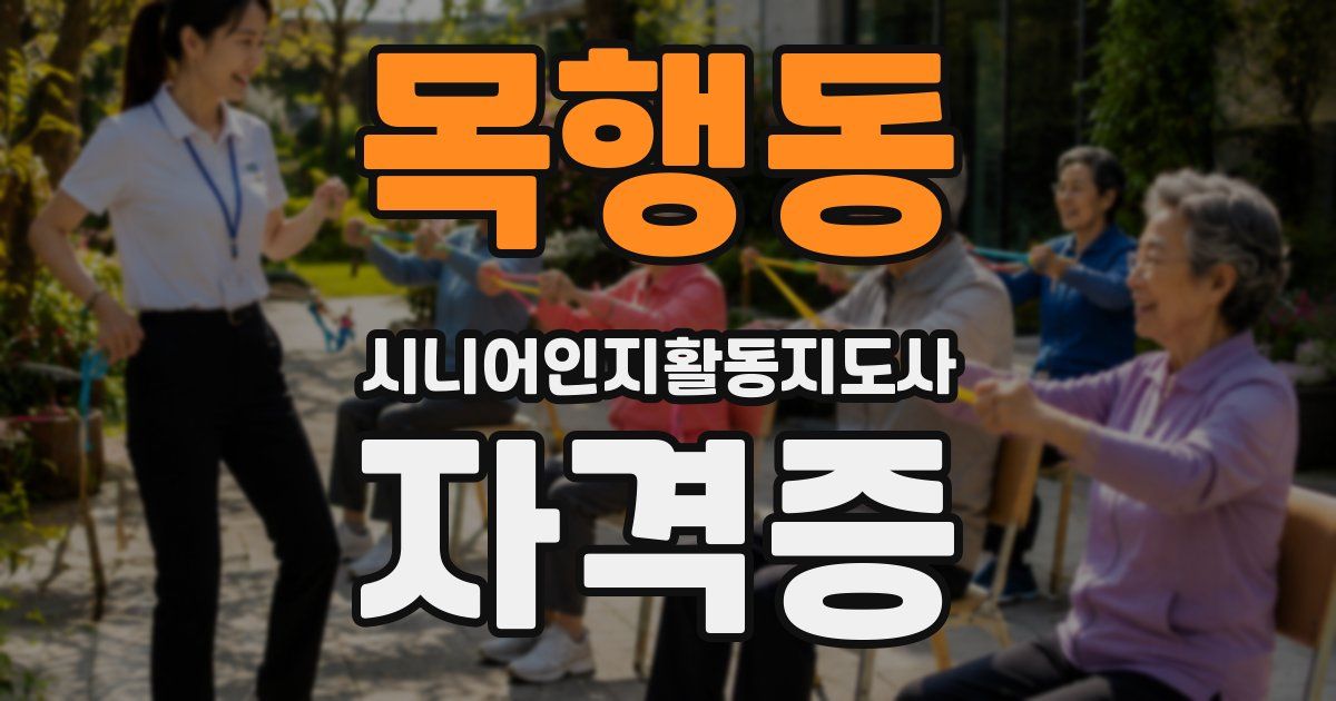 목행동 시니어인지활동지도사 자격증
