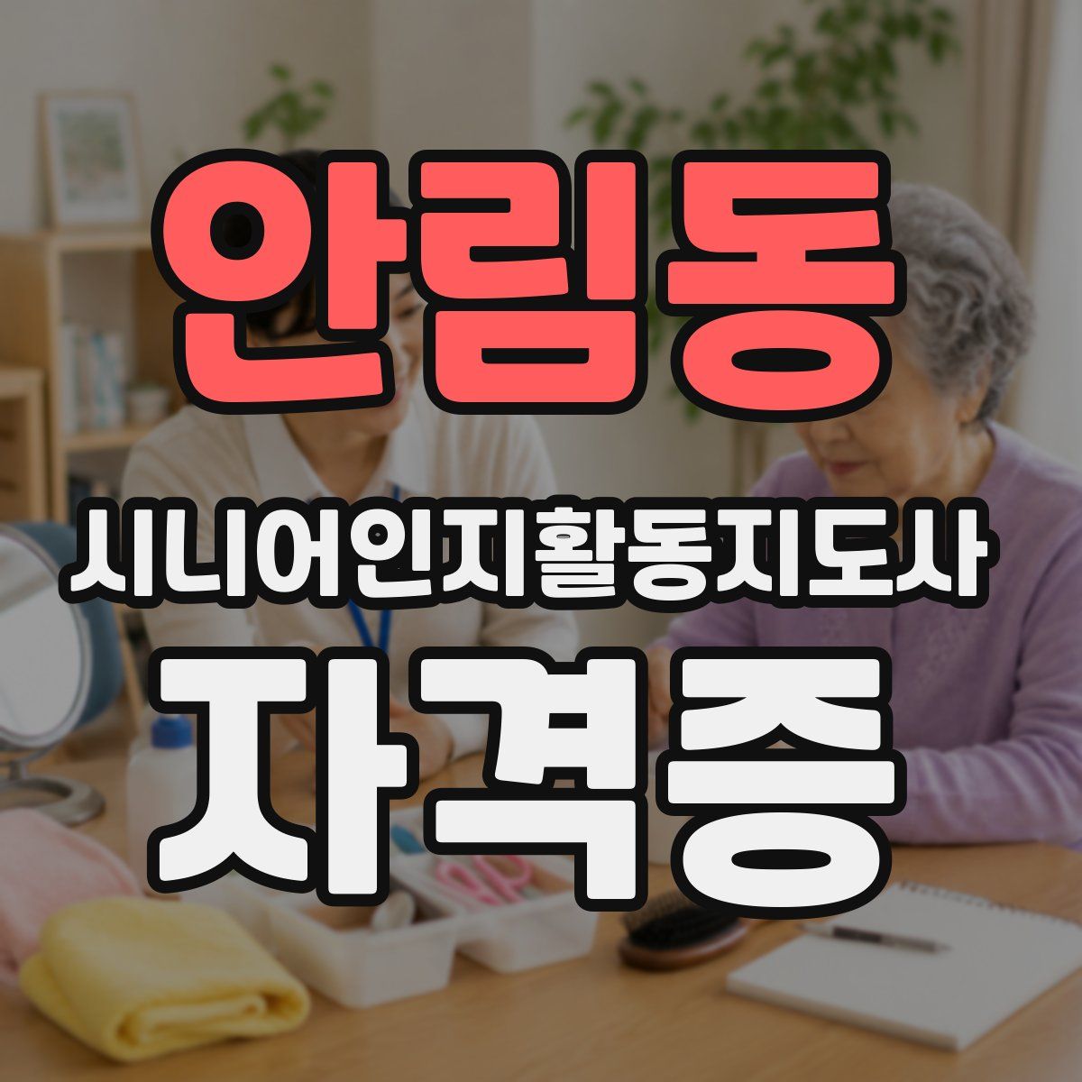 안림동 시니어인지활동지도사 자격증