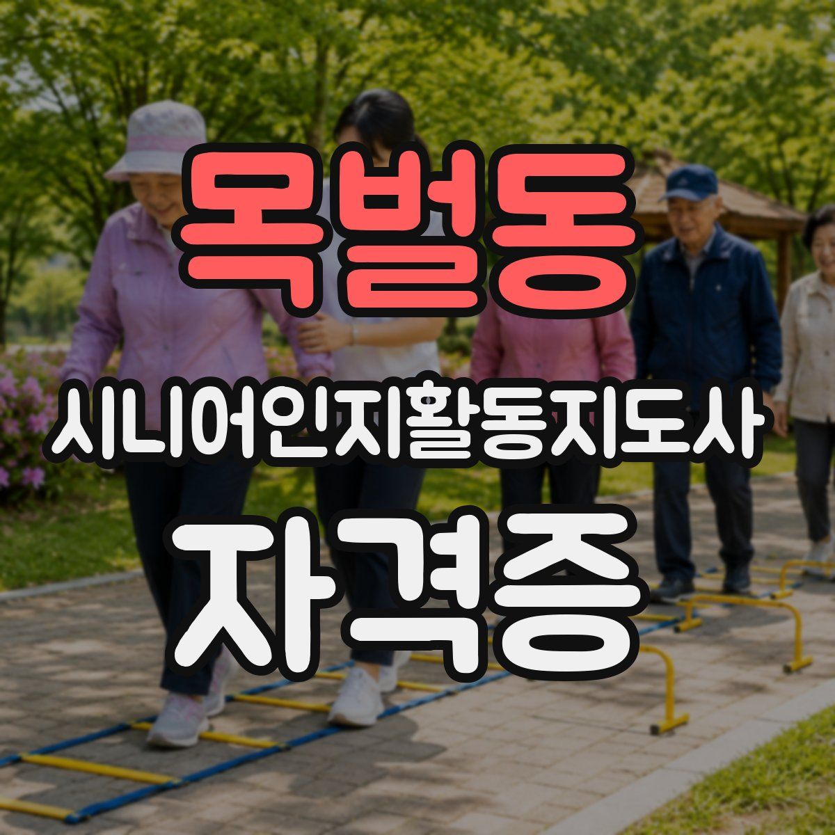 목벌동 시니어인지활동지도사 자격증
