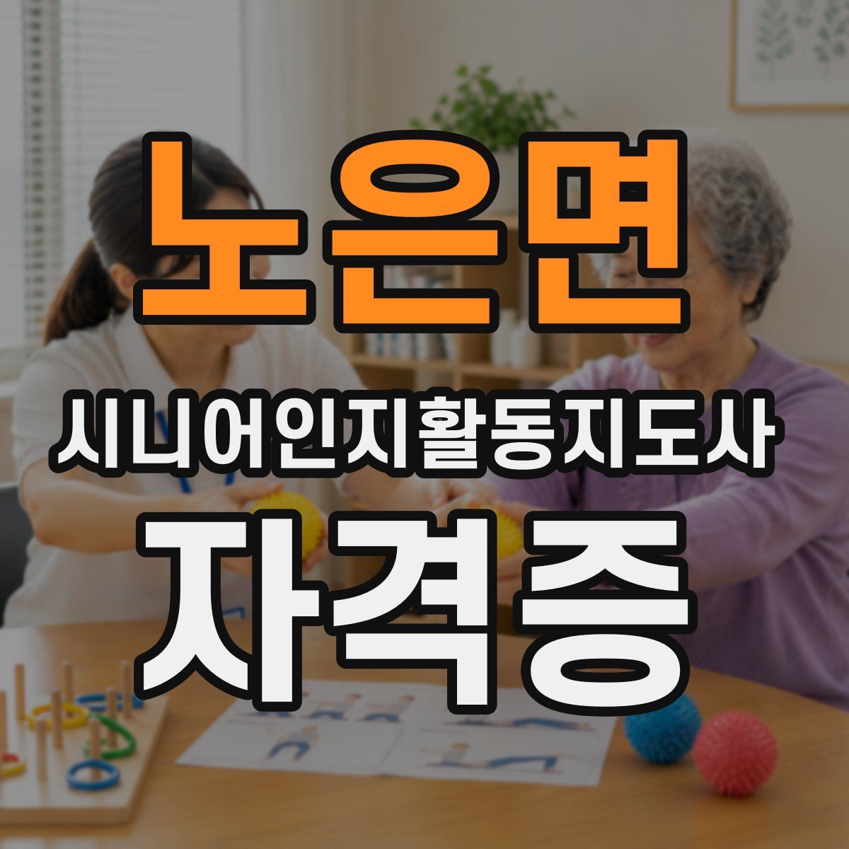 노은면 시니어인지활동지도사 자격증