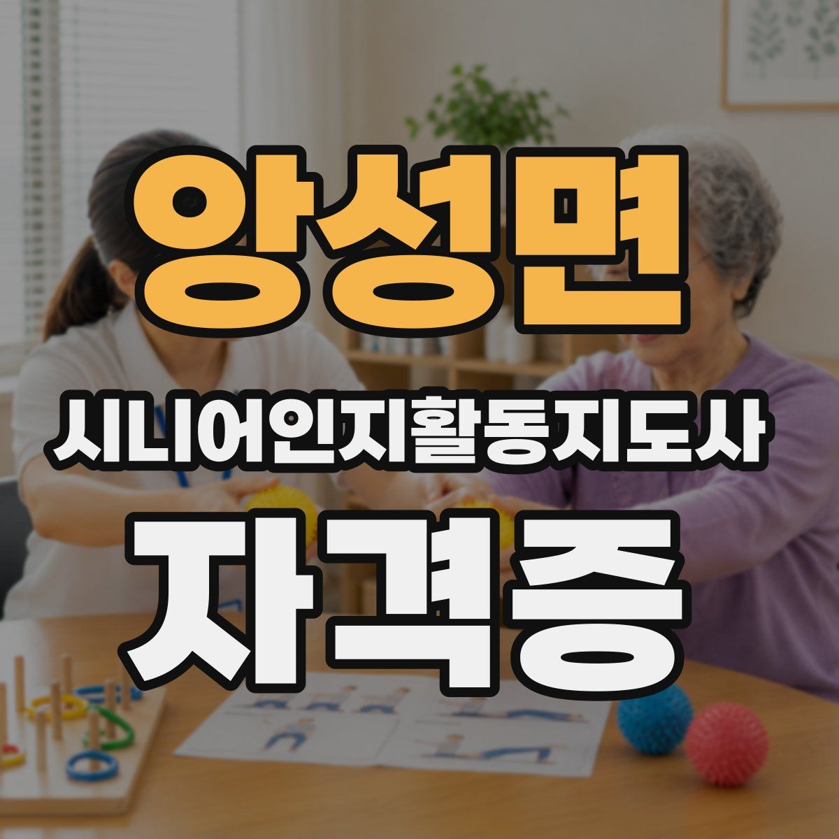 앙성면 시니어인지활동지도사 자격증