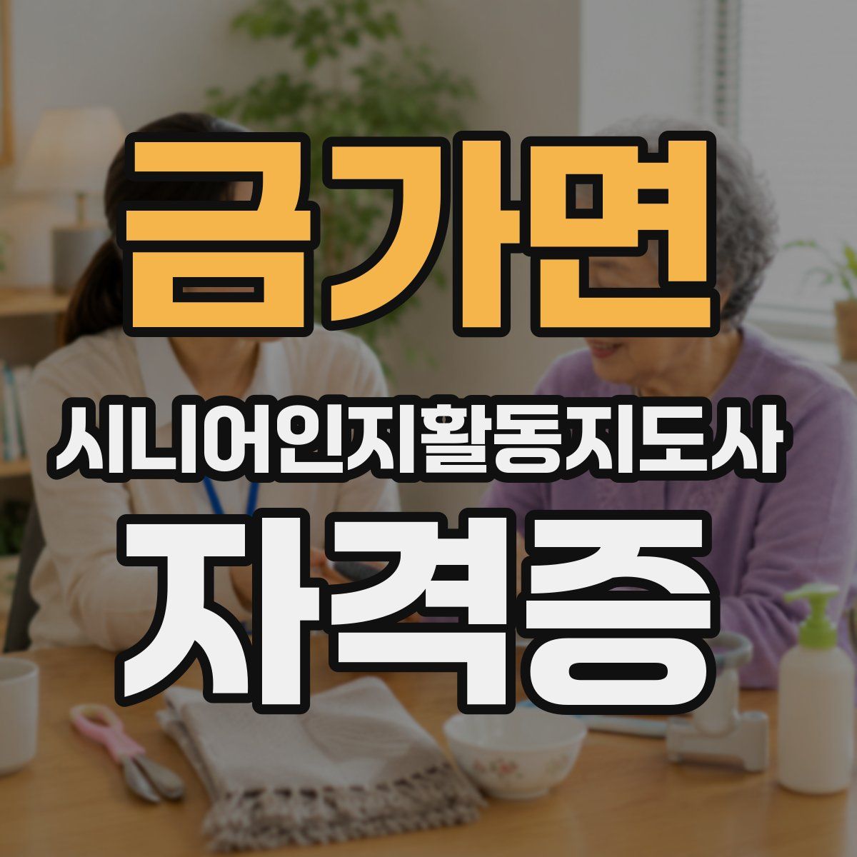 금가면 시니어인지활동지도사 자격증