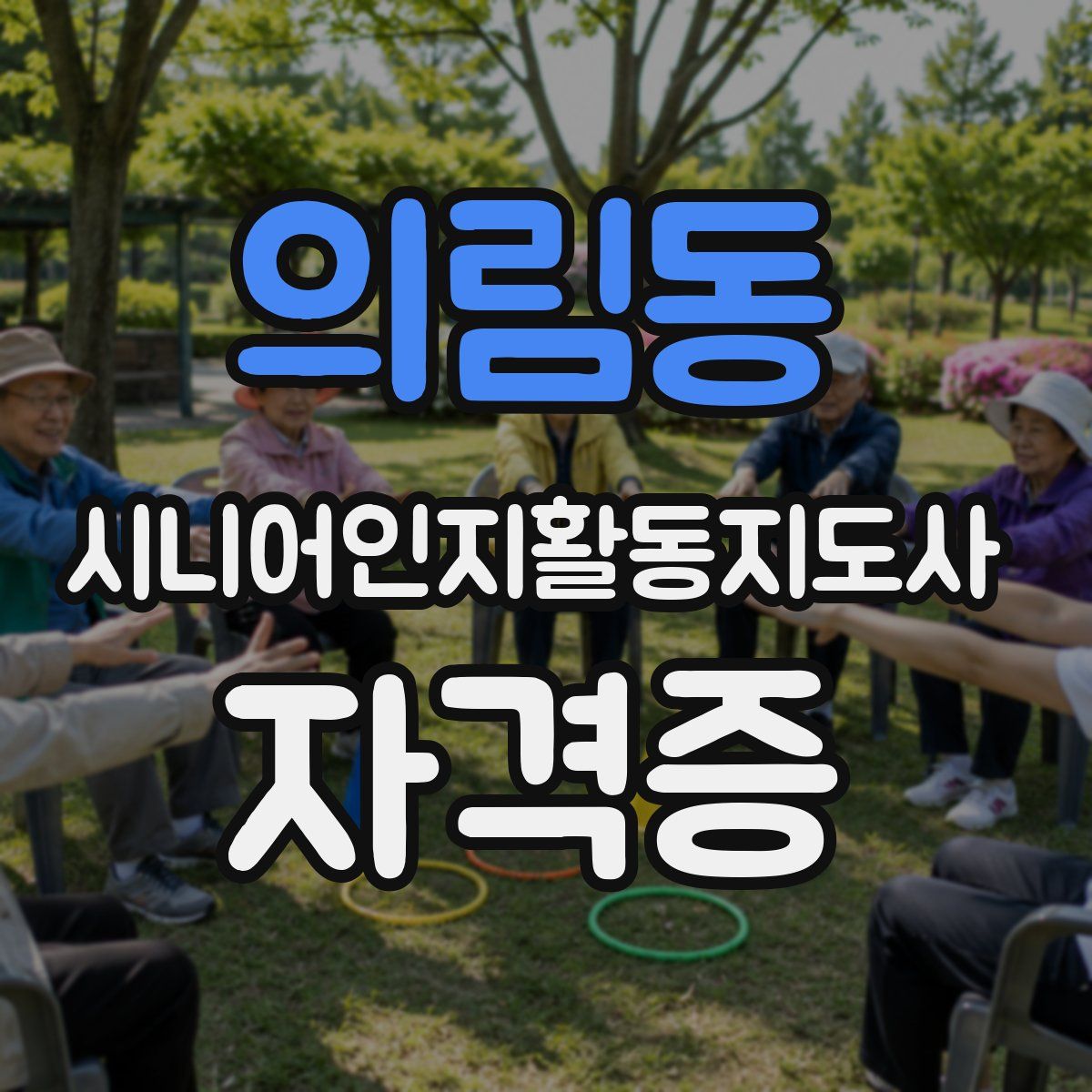 의림동 시니어인지활동지도사 자격증