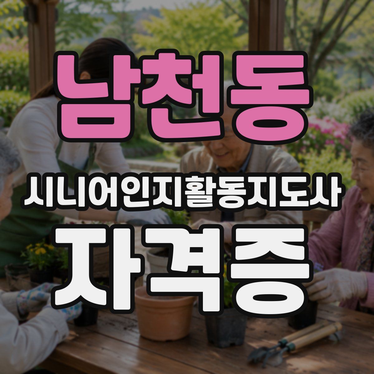 남천동 시니어인지활동지도사 자격증