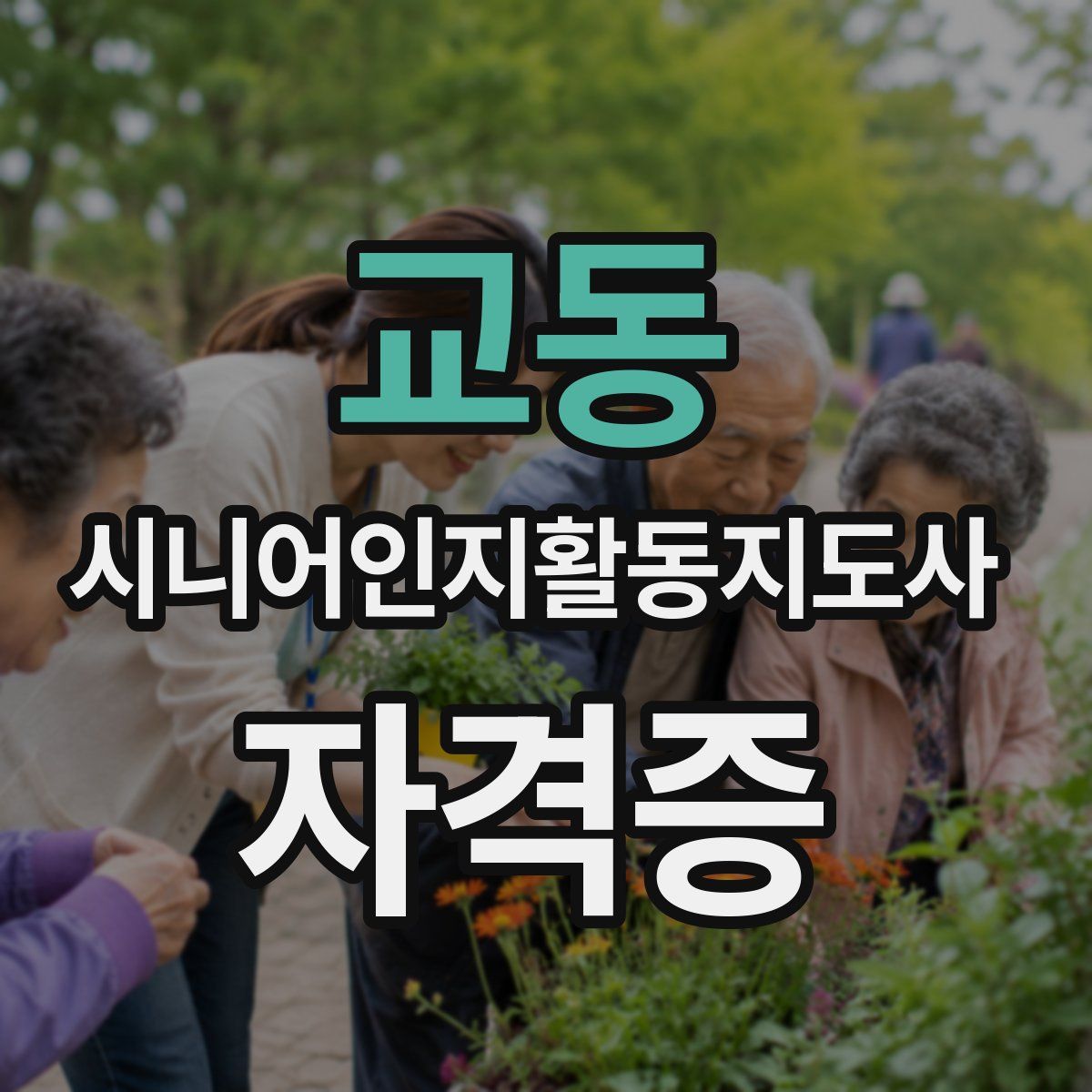 교동 시니어인지활동지도사 자격증