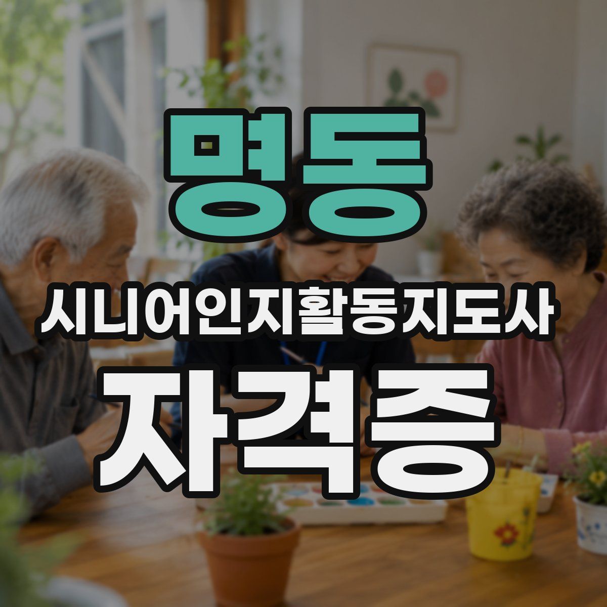 명동 시니어인지활동지도사 자격증
