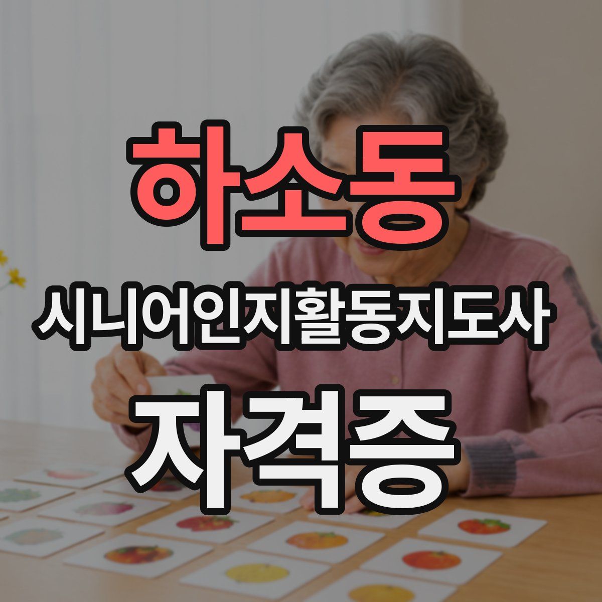하소동 시니어인지활동지도사 자격증