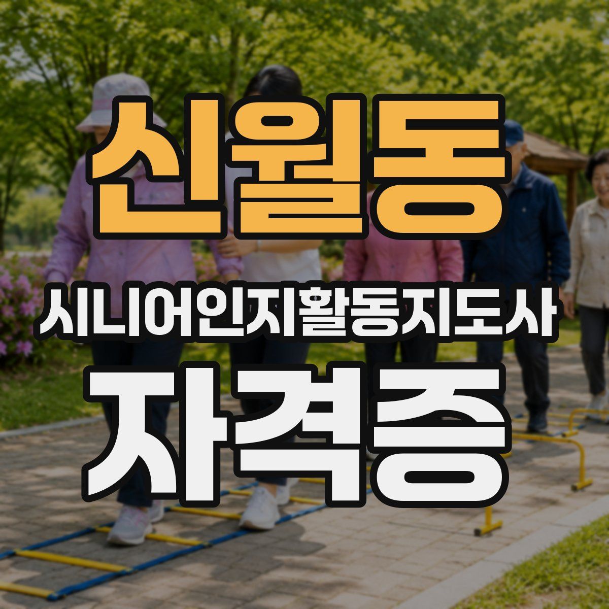 신월동 시니어인지활동지도사 자격증