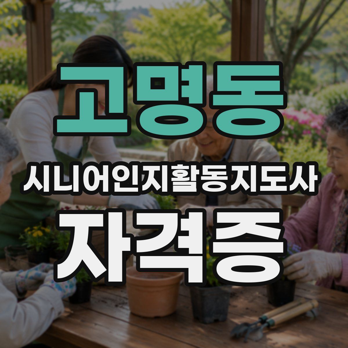 고명동 시니어인지활동지도사 자격증