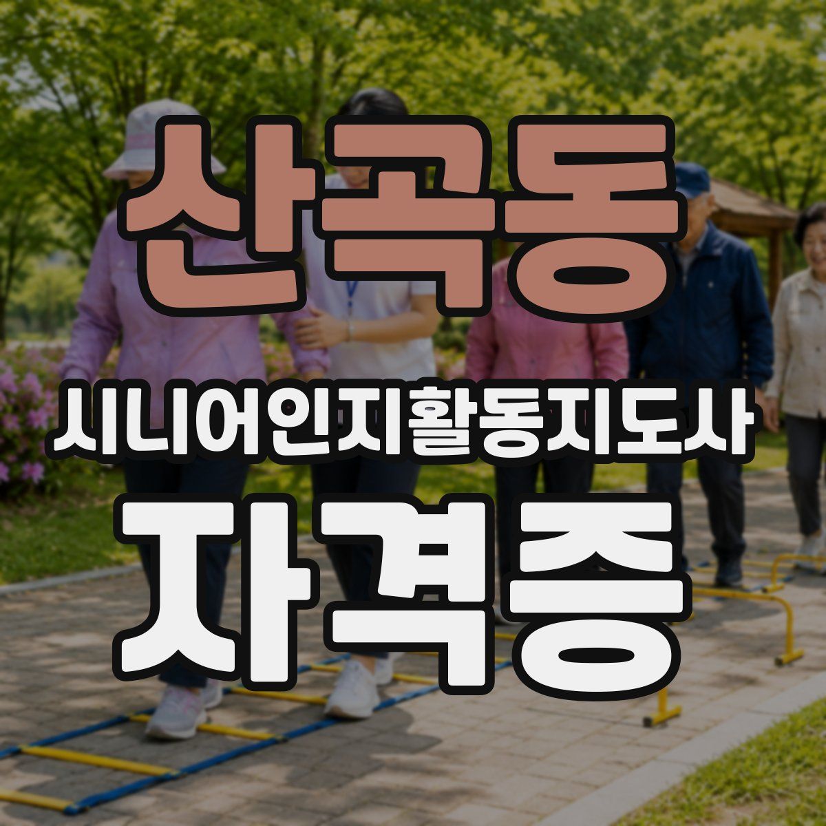 산곡동 시니어인지활동지도사 자격증