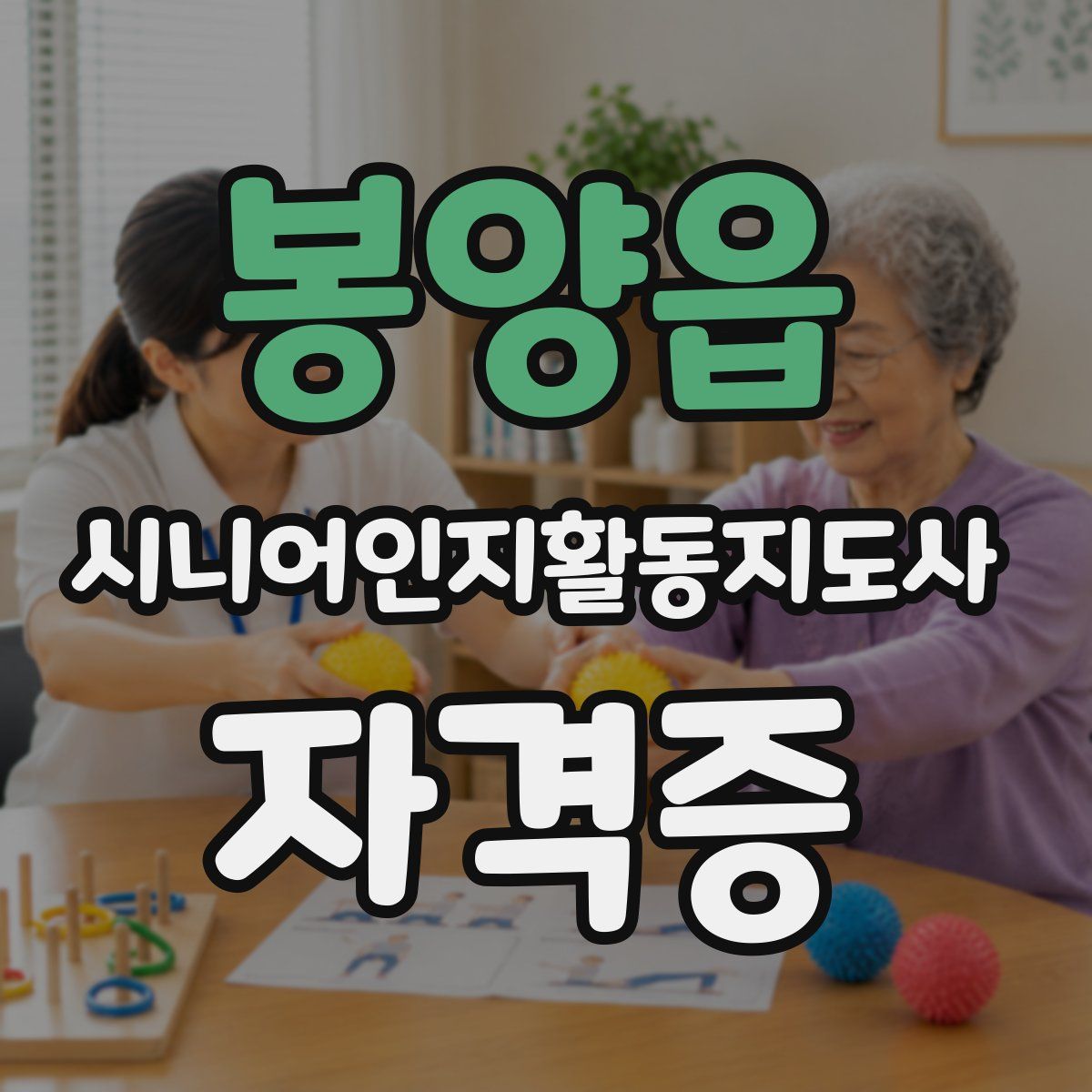봉양읍 시니어인지활동지도사 자격증