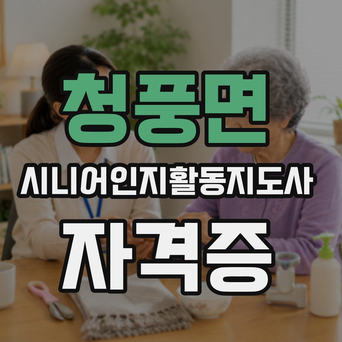 청풍면 시니어인지활동지도사 자격증