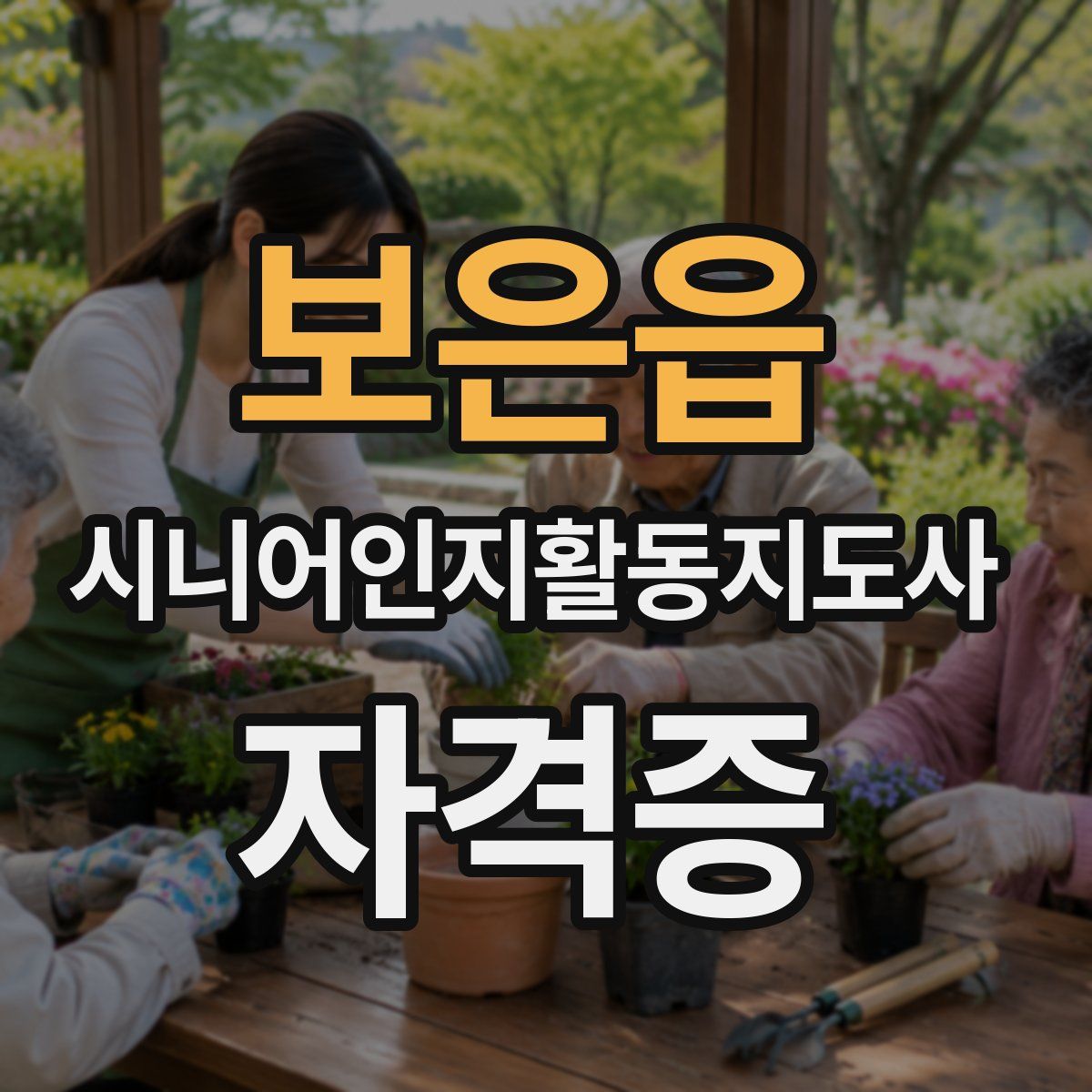 보은읍 시니어인지활동지도사 자격증