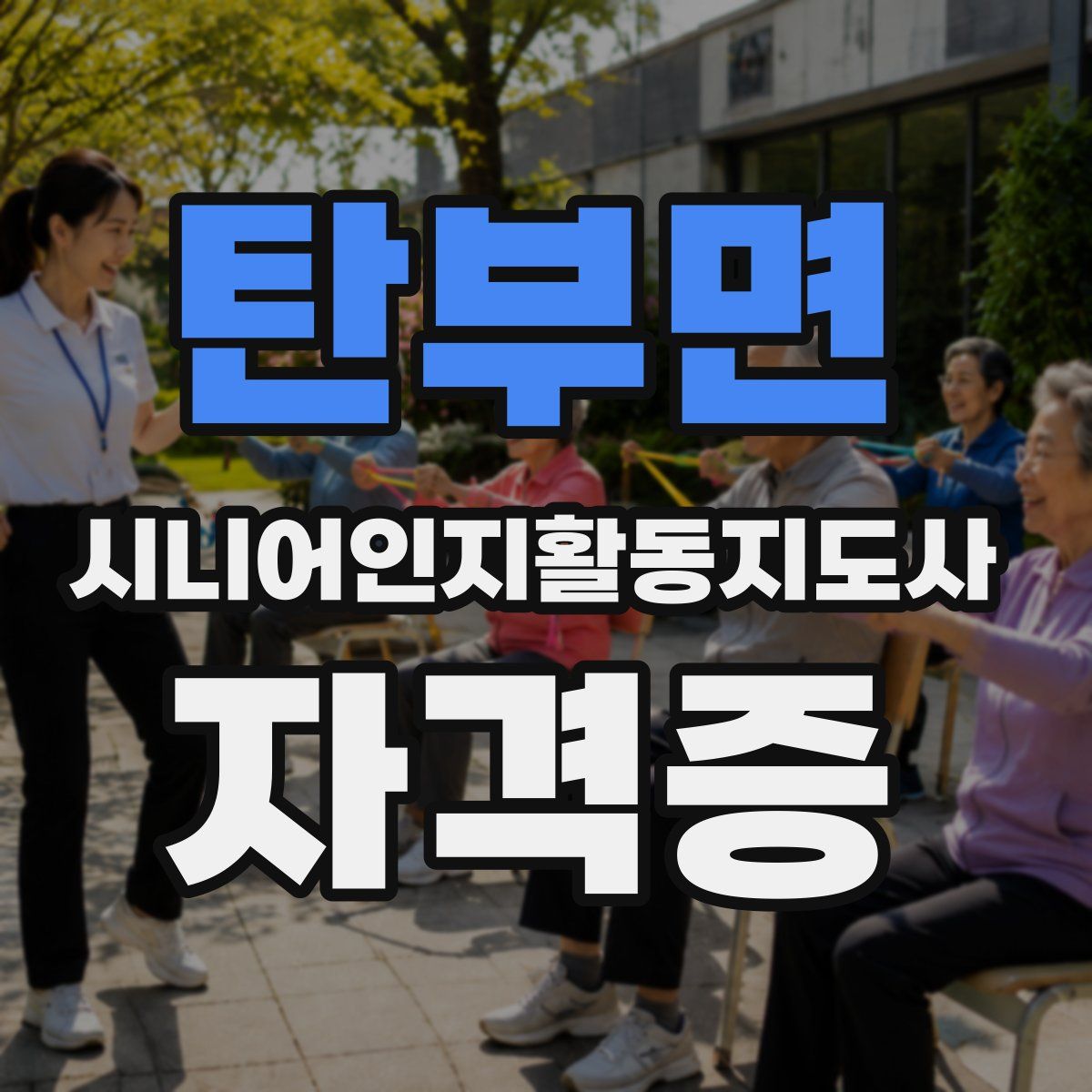 탄부면 시니어인지활동지도사 자격증
