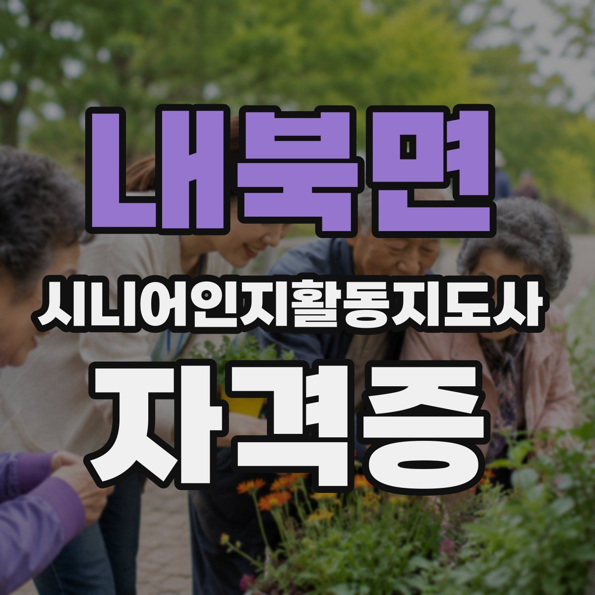 내북면 시니어인지활동지도사 자격증