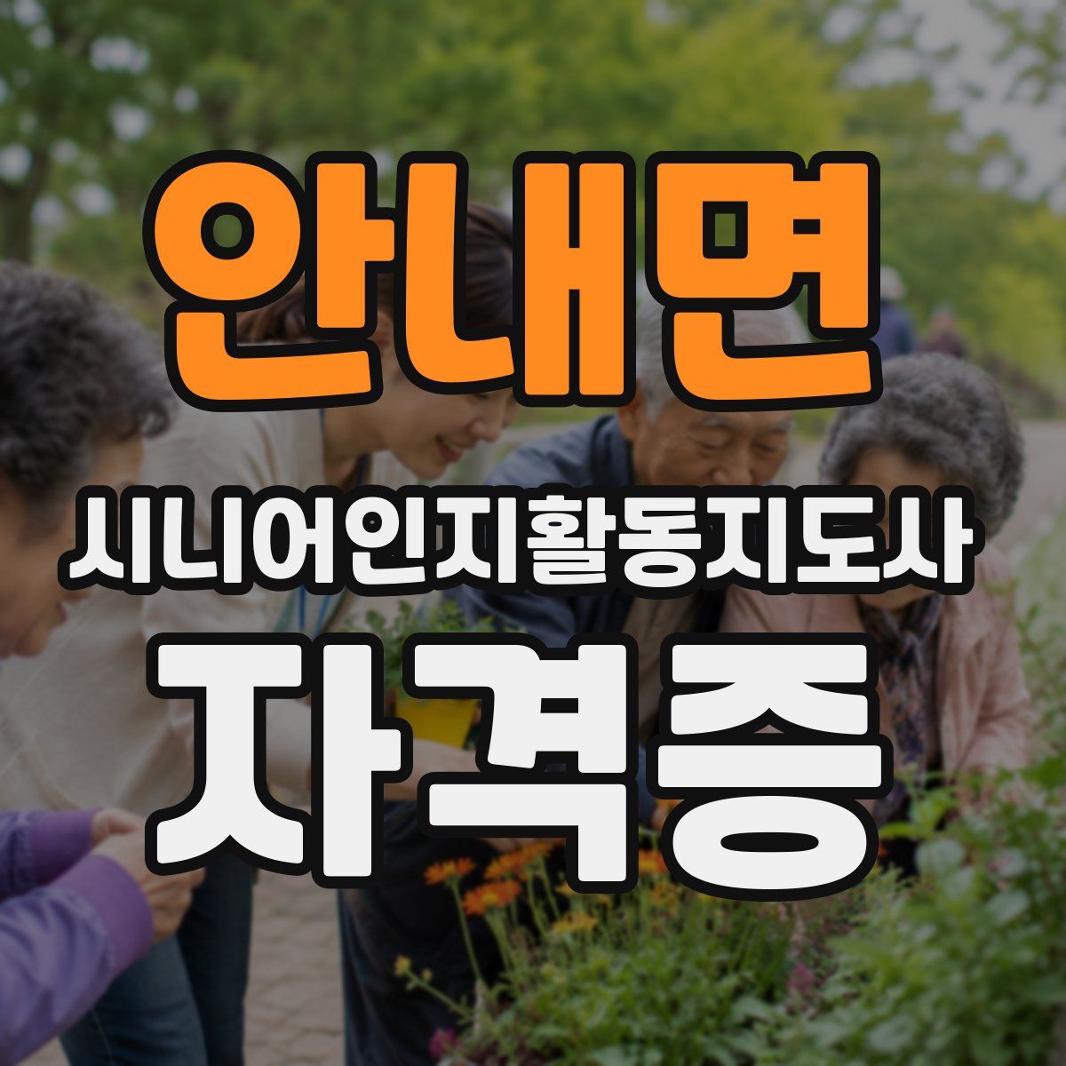 안내면 시니어인지활동지도사 자격증