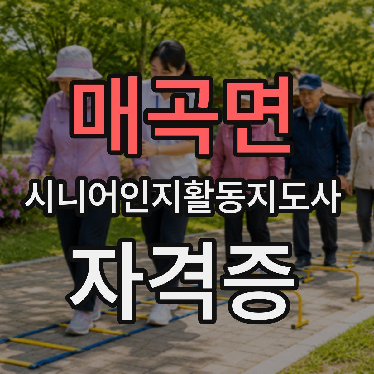 매곡면 시니어인지활동지도사 자격증