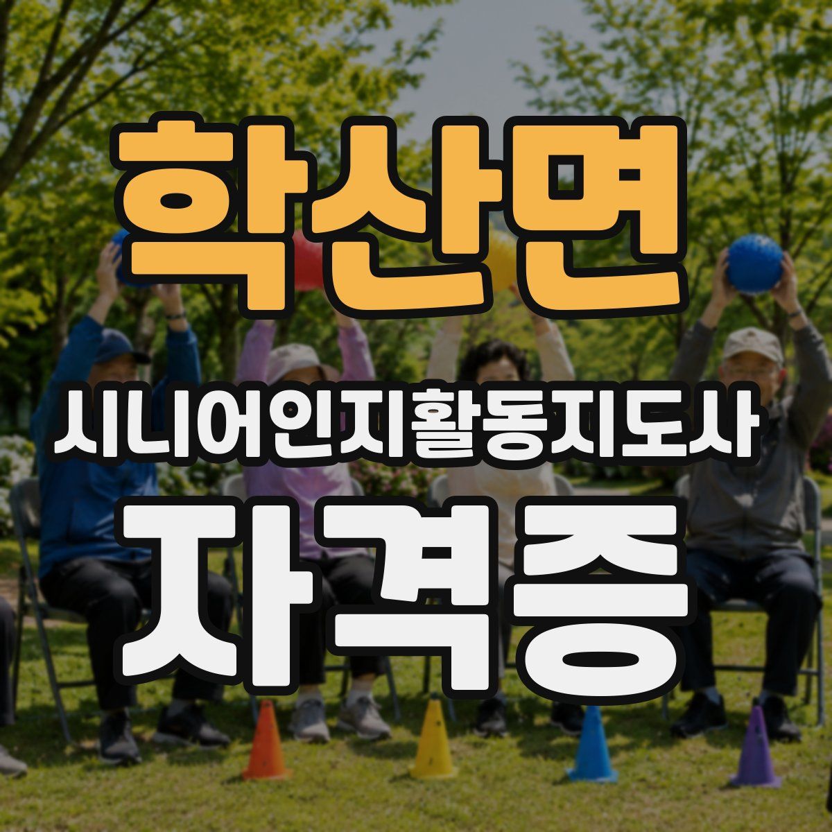학산면 시니어인지활동지도사 자격증