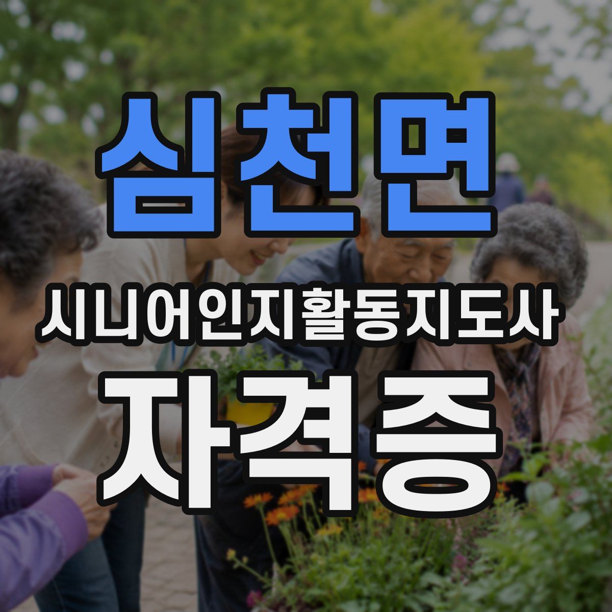 심천면 시니어인지활동지도사 자격증