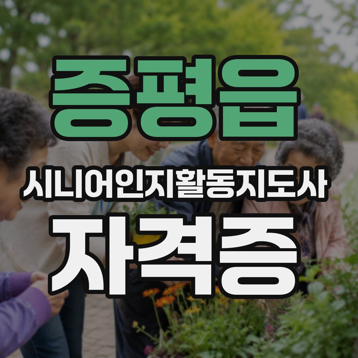증평읍 시니어인지활동지도사 자격증