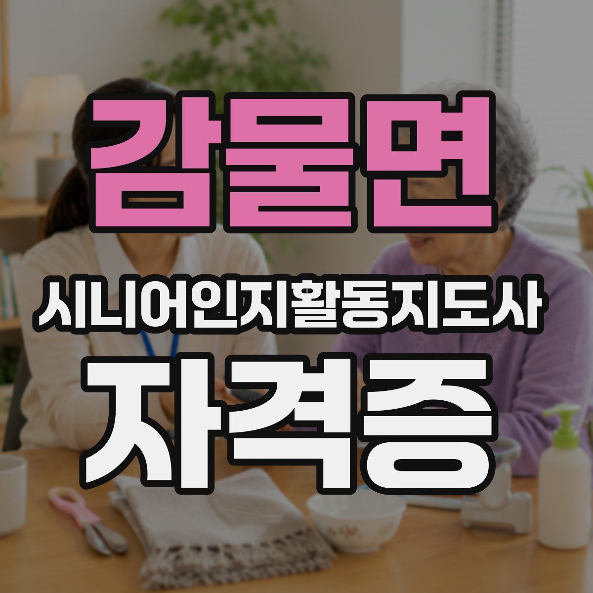 감물면 시니어인지활동지도사 자격증