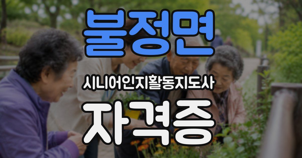 불정면 시니어인지활동지도사 자격증