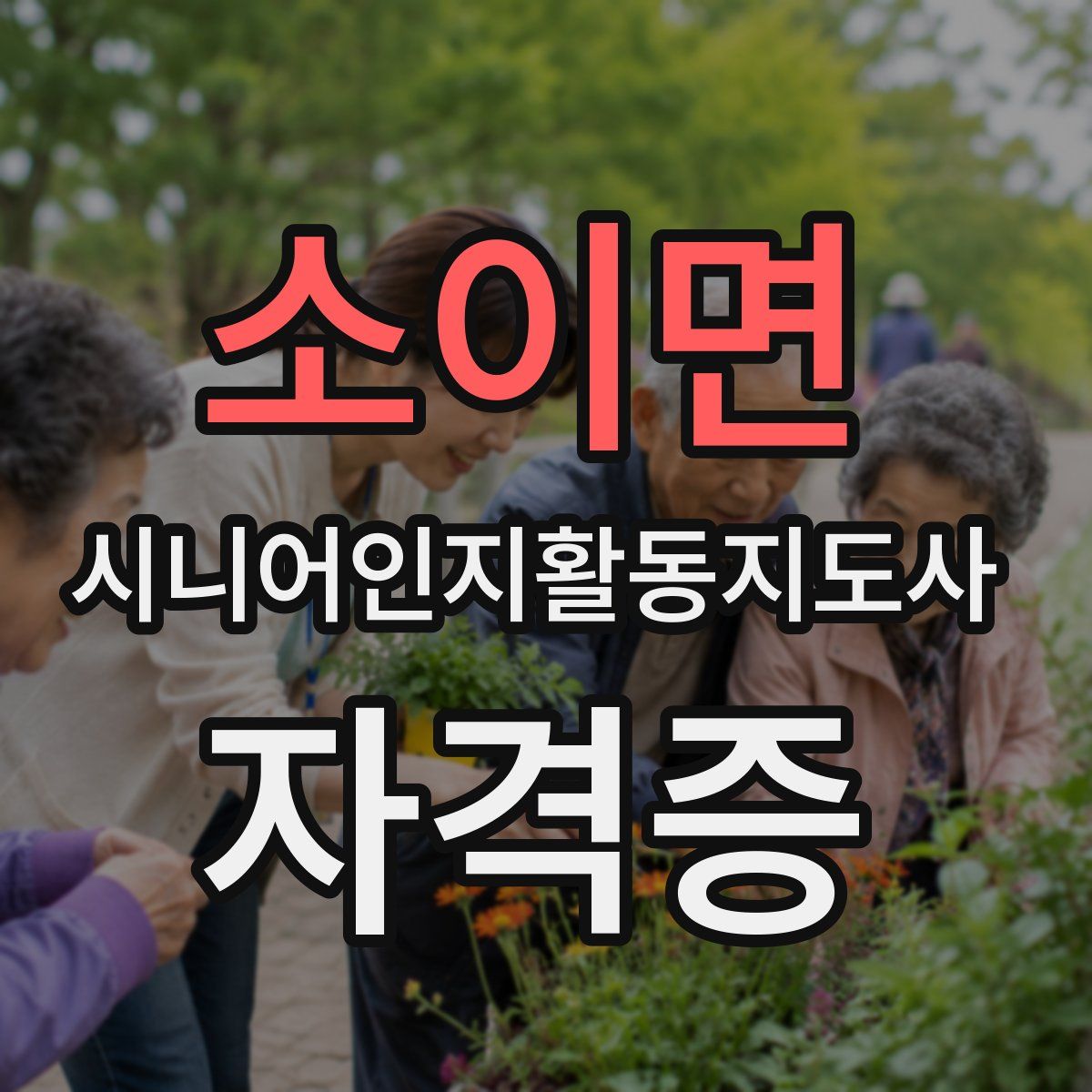 소이면 시니어인지활동지도사 자격증