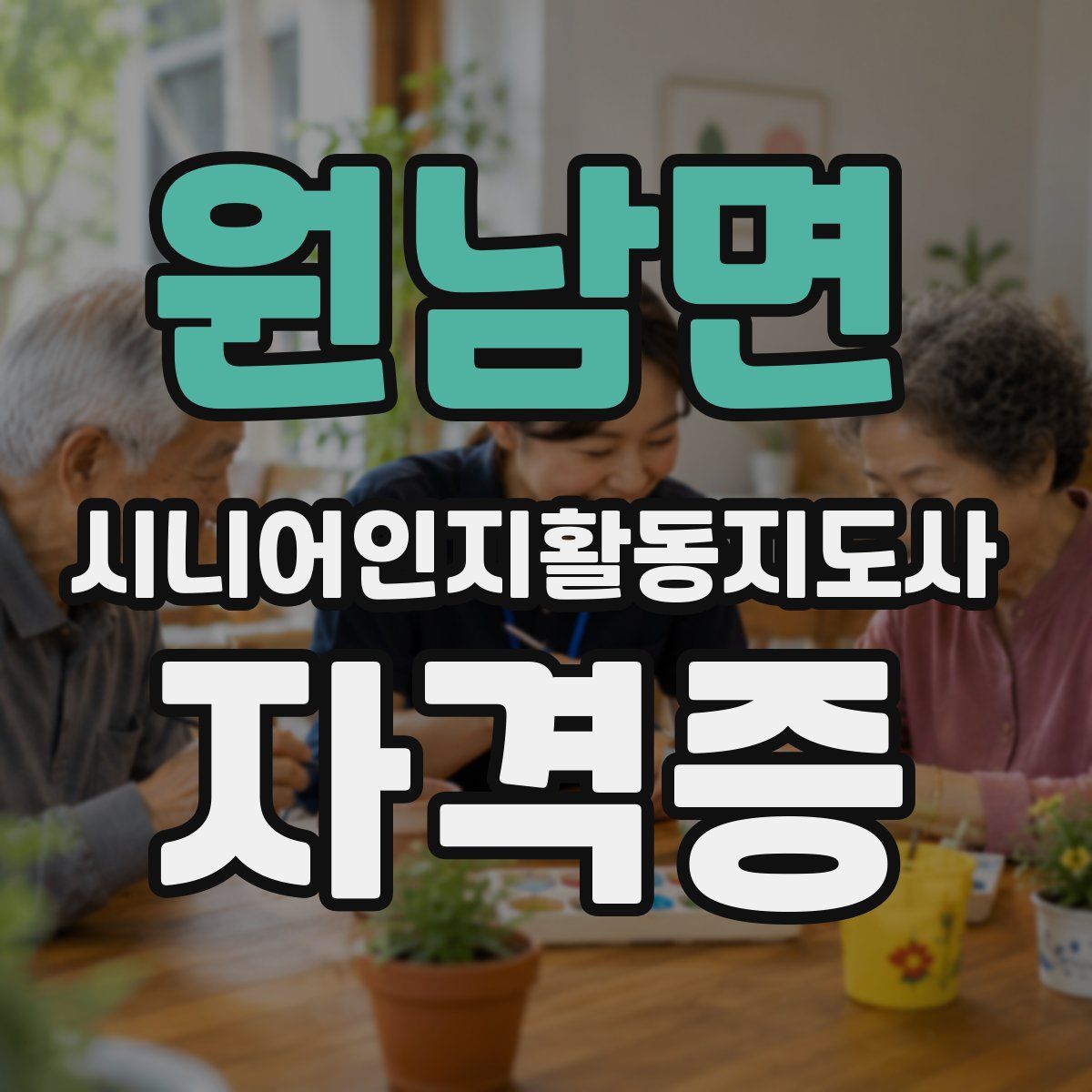 원남면 시니어인지활동지도사 자격증