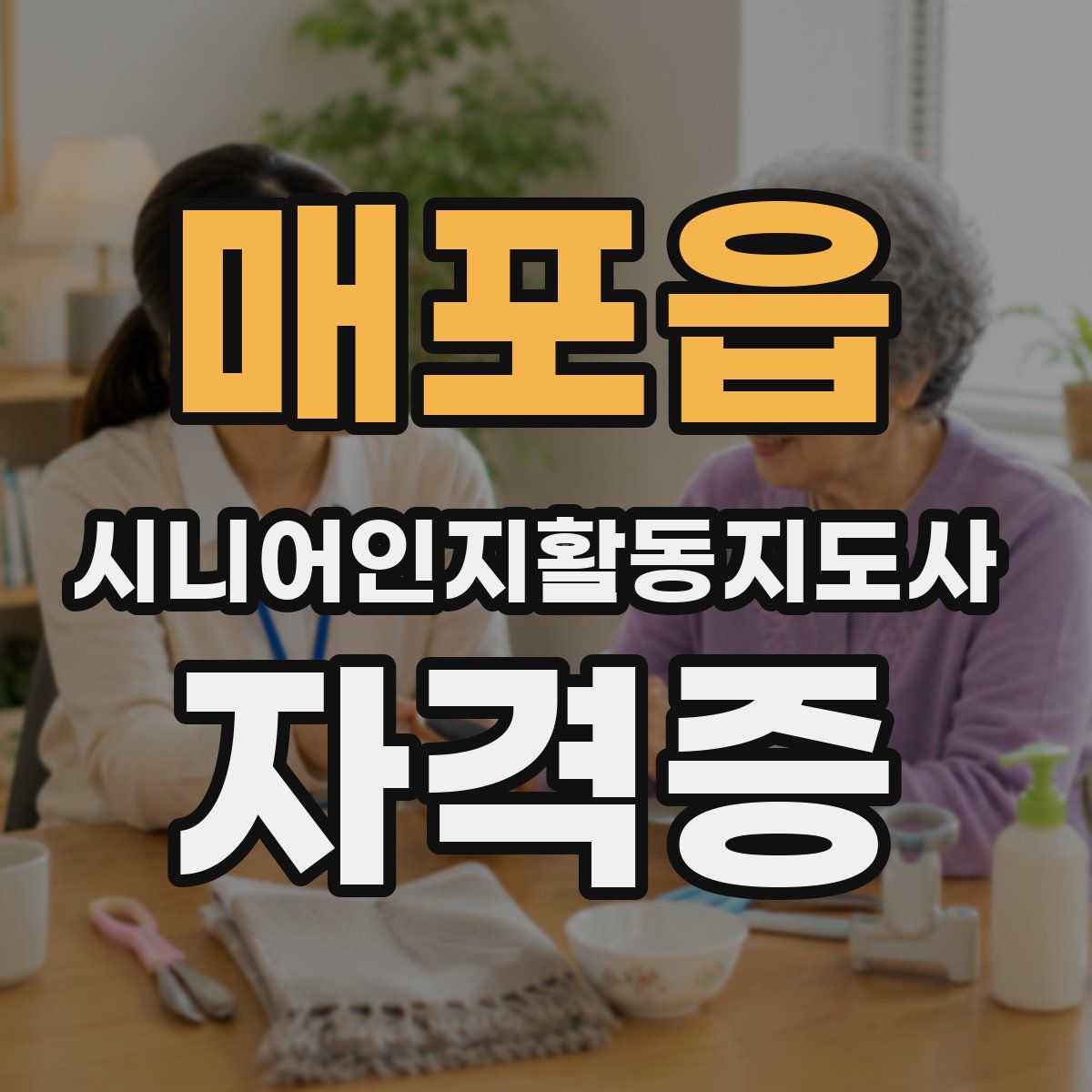 매포읍 시니어인지활동지도사 자격증