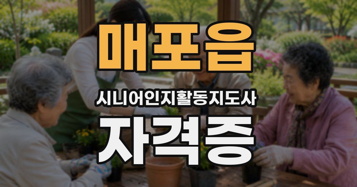 매포읍 시니어인지활동지도사 자격증