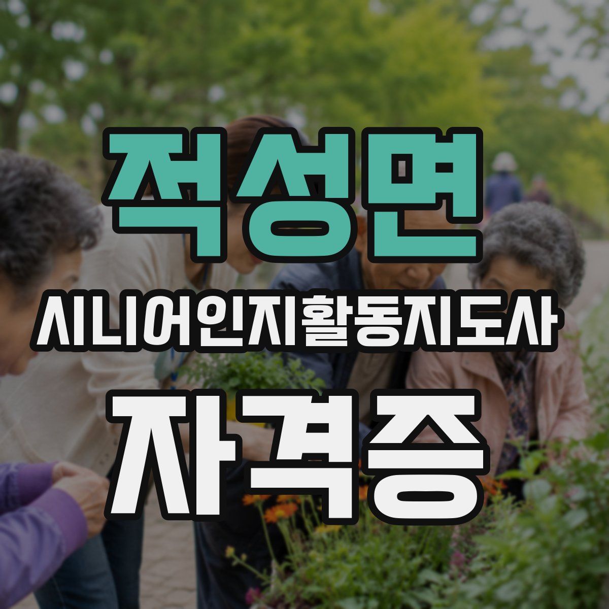 적성면 시니어인지활동지도사 자격증