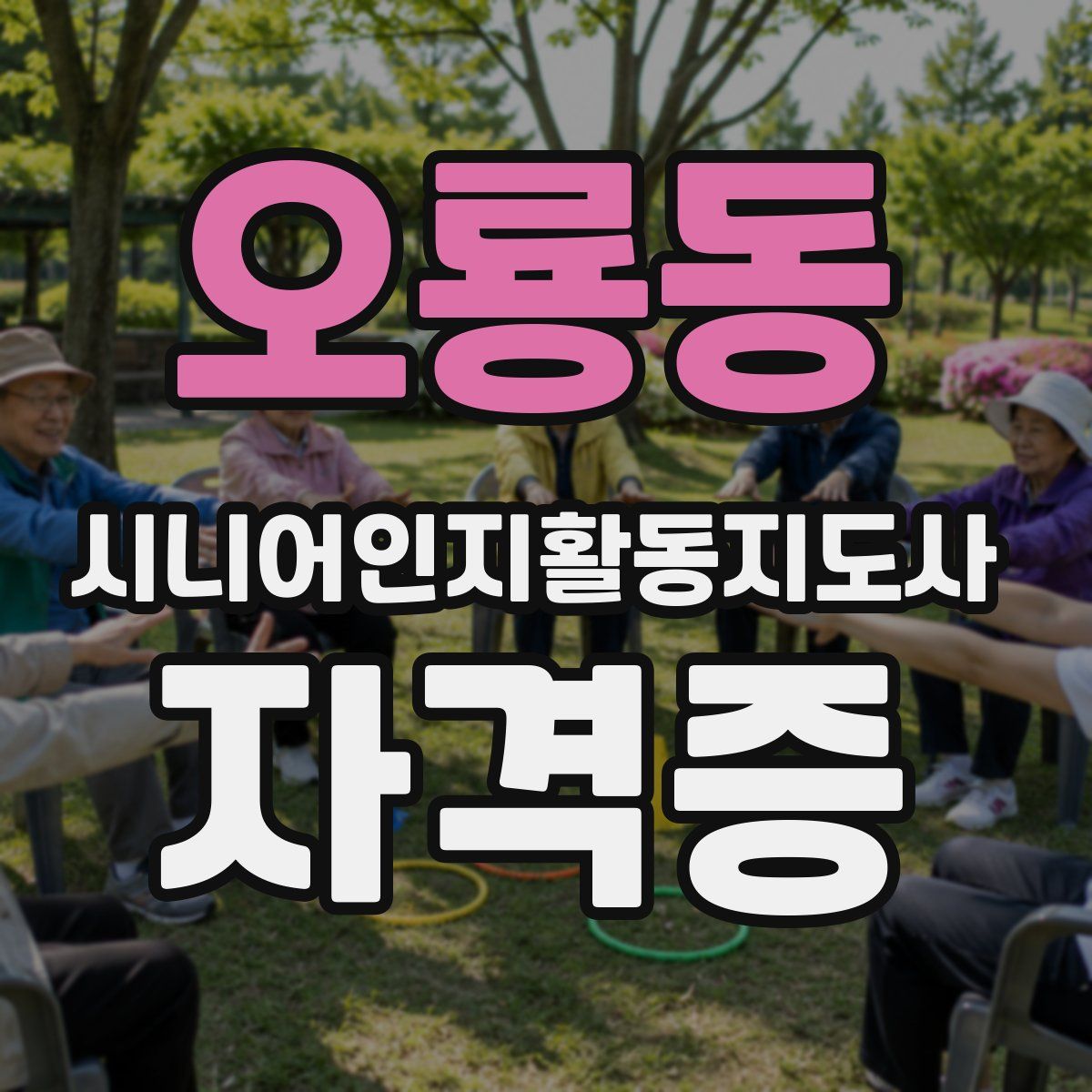 오룡동 시니어인지활동지도사 자격증