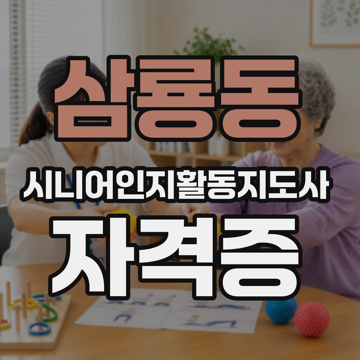 삼룡동 시니어인지활동지도사 자격증