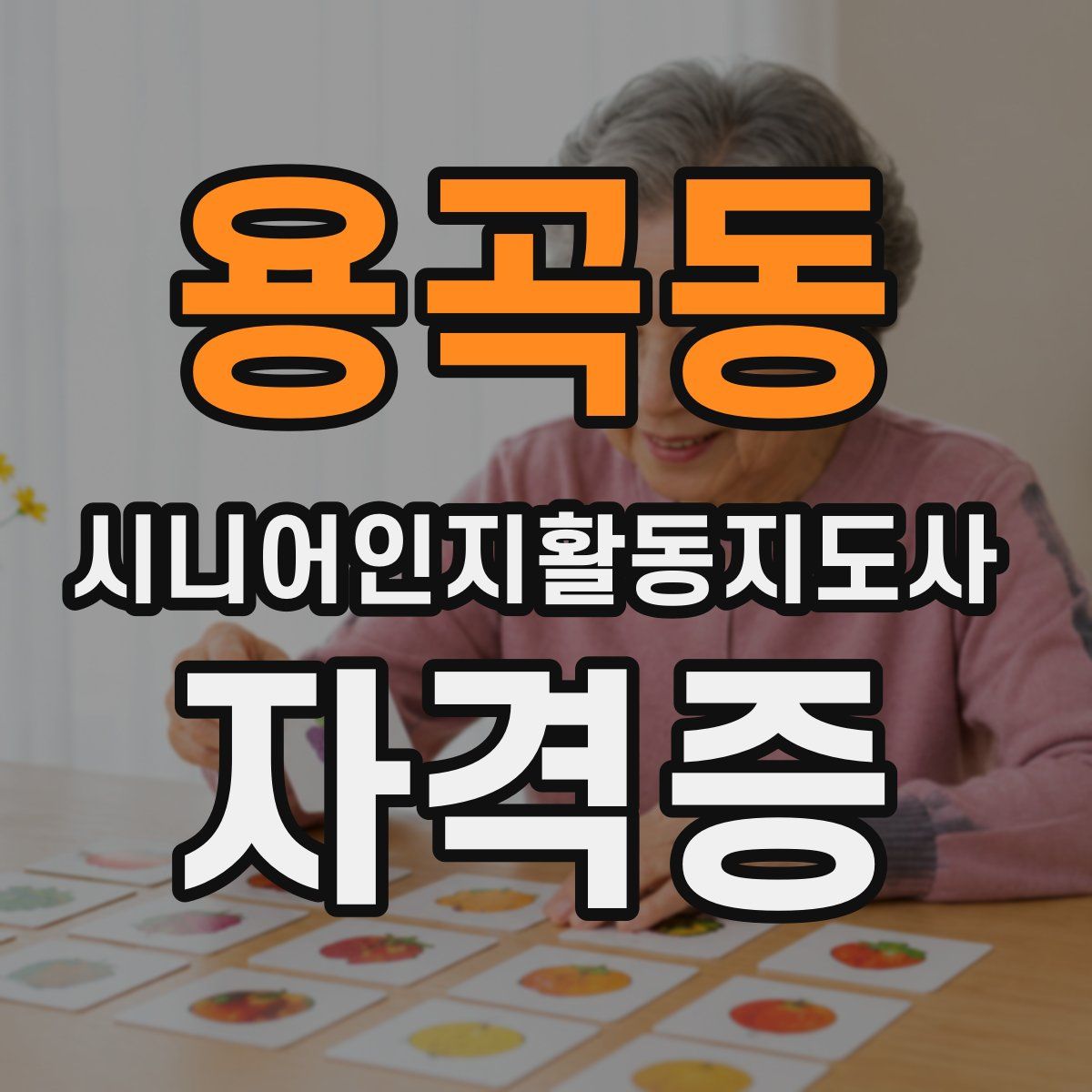 용곡동 시니어인지활동지도사 자격증