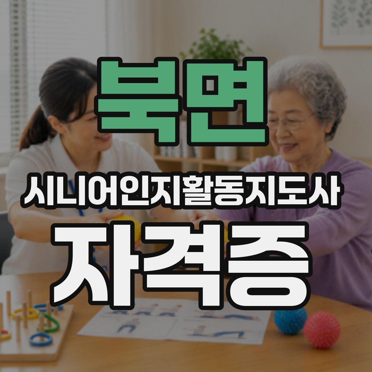 북면 시니어인지활동지도사 자격증