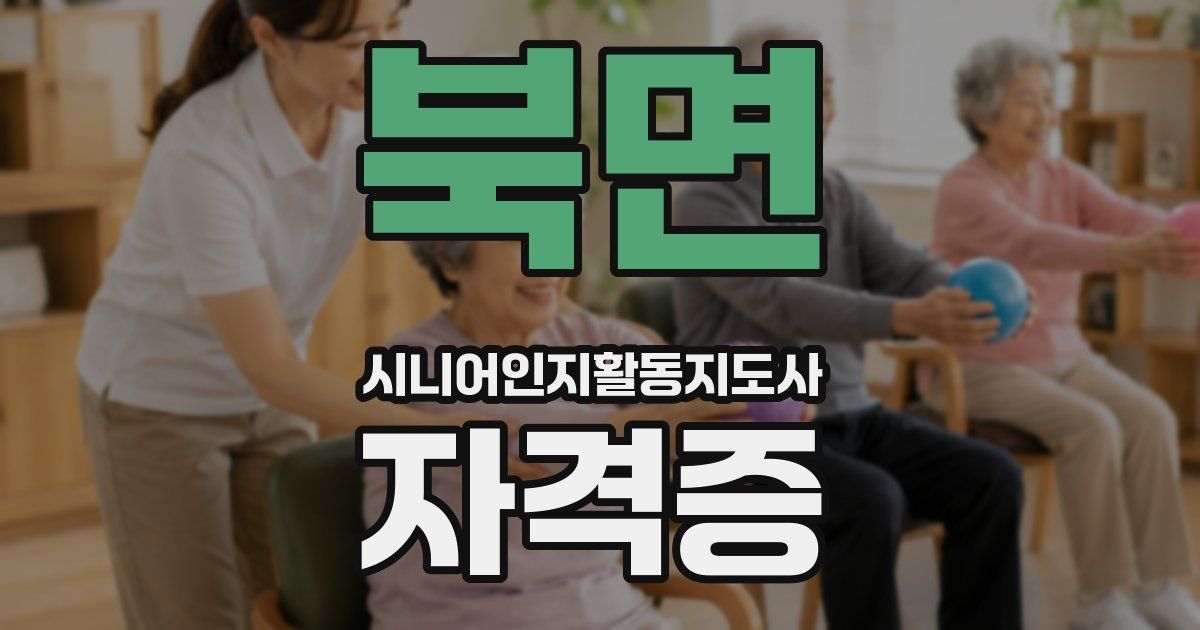 북면 시니어인지활동지도사 자격증