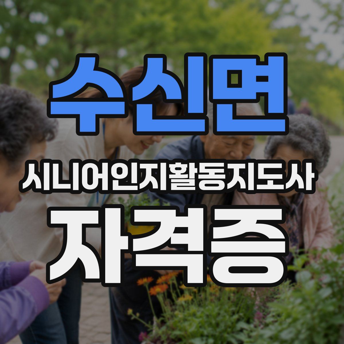 수신면 시니어인지활동지도사 자격증