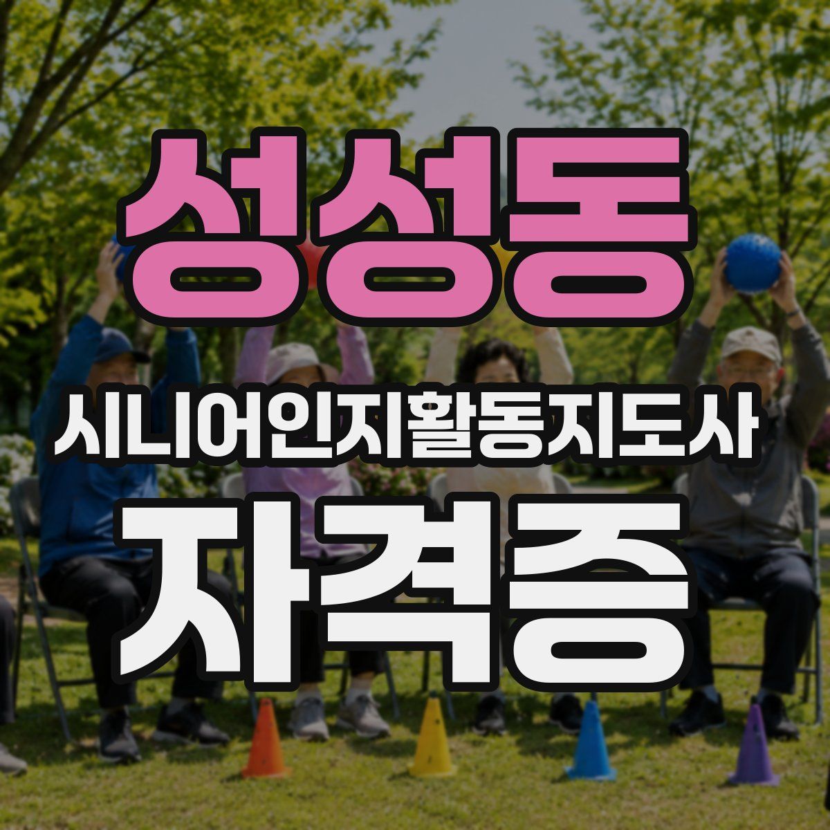 성성동 시니어인지활동지도사 자격증